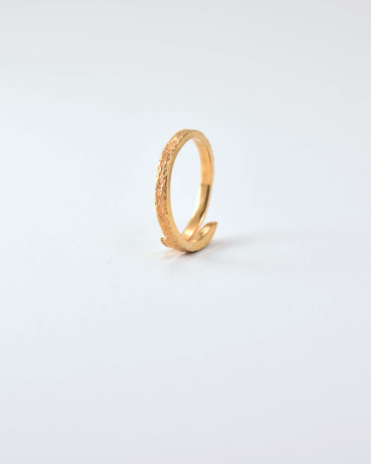 Twin Curve Ring