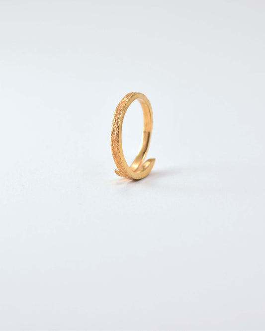 Twin Curve Ring
